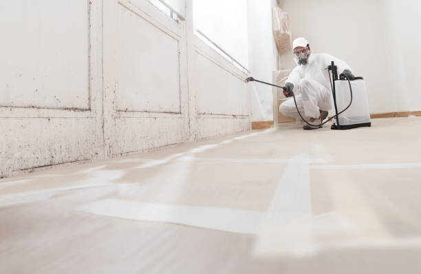 Black mold remediation team in Essex Fells